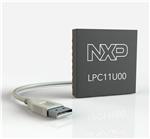 NXP LPC1113FHN33/203,5